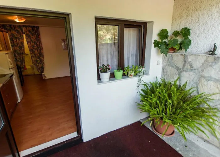 Tonka * マカルスカ